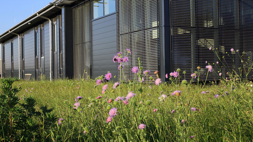 Manufaktur spiritofspice