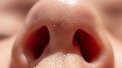 Covid-19: Woher kommt die Riechstörung?