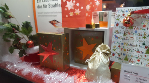 weihnachtsdeko2016 43 aa