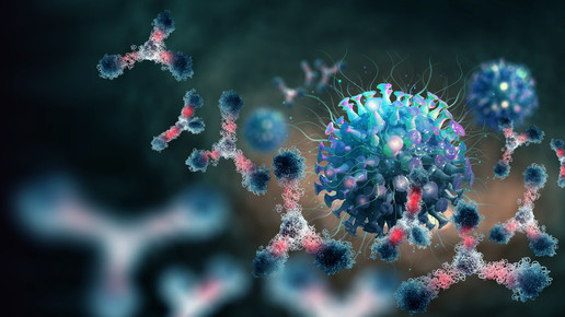 Erste klinische Erfahrungen mit Antikörpertherapien