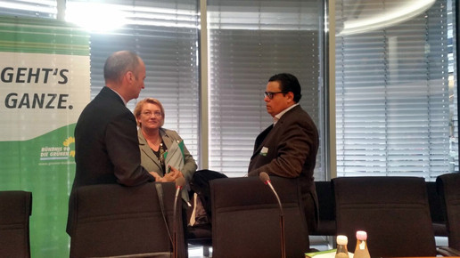 gruene161128 schulz-asche5 schmidt max mueller aa