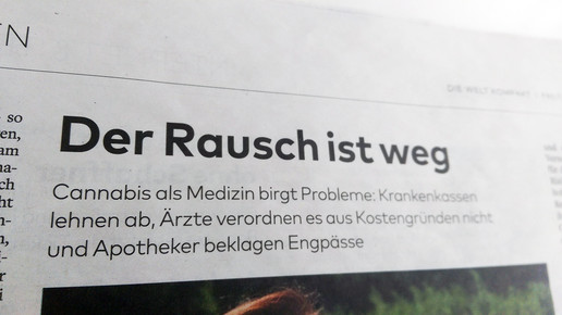 welt kompakt170804 2 aa