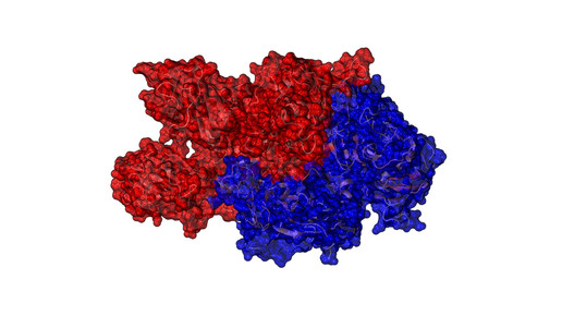 coagulation factor VIII wikipedia