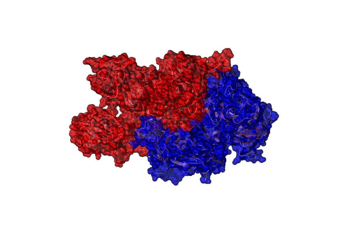 Antikörper Kein erhöhtes Risiko unter Kogenate APOTHEKE ADHOC