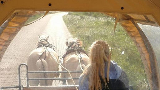 seehundapotheke3 erich hrdina