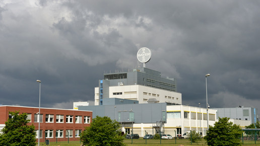 bayer bitterfeld eh
