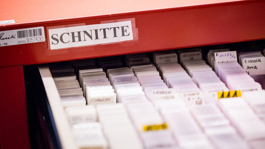 labor charite25 andreas domma