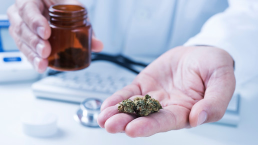 Foto: Ein Arzt zeigt Cannabis.