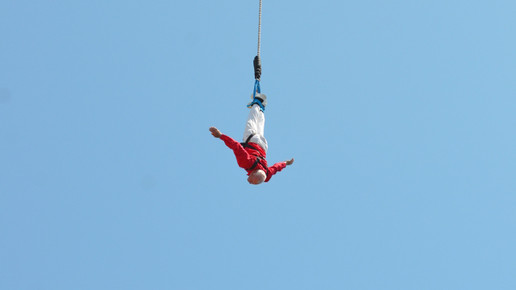 Wirz Bungeespringer14 Wirz