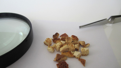 Aurantii pericarpium 1 aa