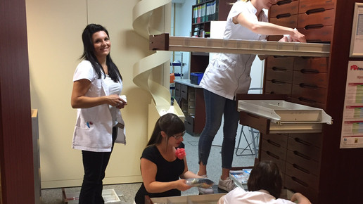 Kastanien-Apotheke Chemnitz Umbau11 Kastanien-Apotheke