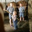 Bauernhoftiere schützen vor Asthma