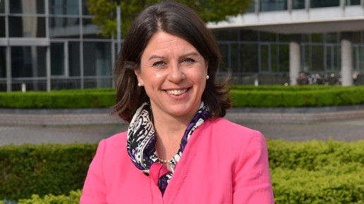 idv coninohnsorge idv