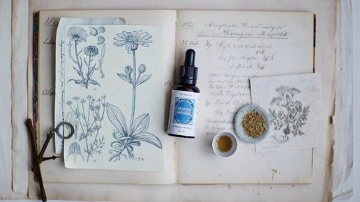 loewen-apo blaueswunder dietlind wolf