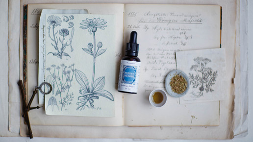 loewen-apo blaueswunder dietlind wolf