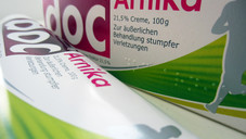 Die Geschichte von Arnika, Apfelbaum und dem DFB-Arzt