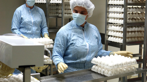 Impfstoffproduktion1b gsk