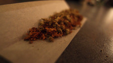 Grün ist die Hoffnung