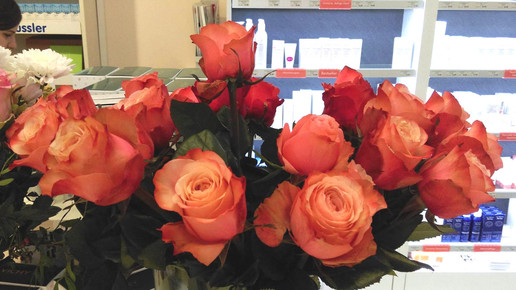 Ran an die Rosen, Apotheker