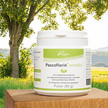 Nahrungsergänzungsmittel Pascoflorin® sensitiv