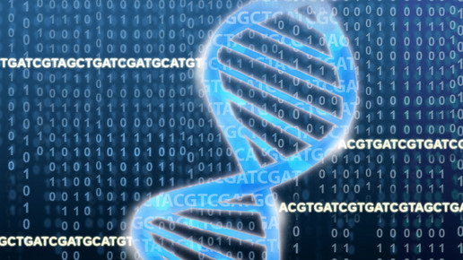 Genschere Crispr/Cas9 flexibler einsetzbar?