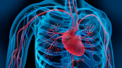 Nach dem Herzinfarkt zurück in den Job