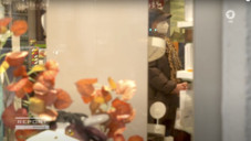 Report Mainz zu Apotheken-Masken