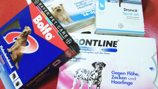 Tierärzte: Apotheker können das nicht