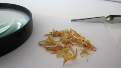 Calendulae flos 1 aa