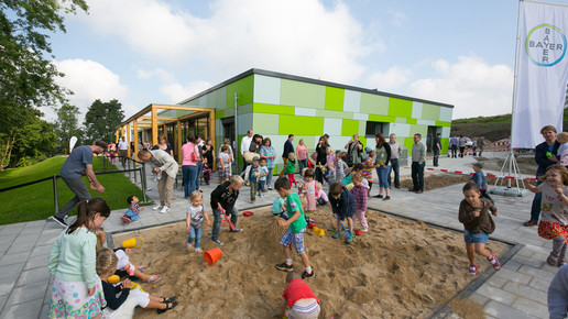 bayer spatzennest 01 bayer