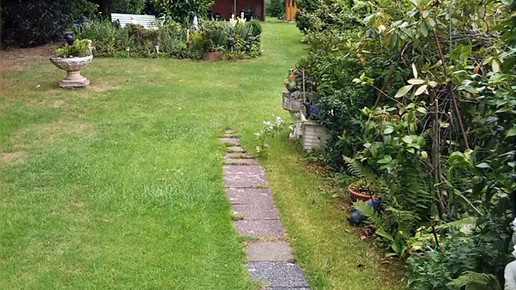 Netto-Markt Gruenflaeche Oberhausen Buergerinitiative Osterfelde Heide