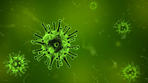 Darstellung mehrerer Influenzaviren in grün.