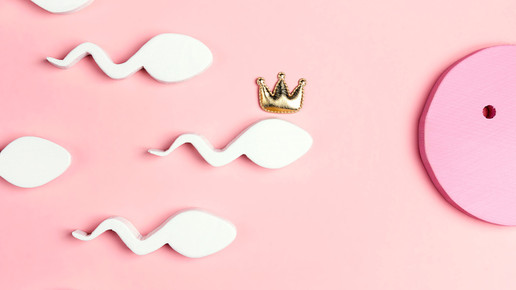 Pille für den Mann: Hormonfrei und reversibel