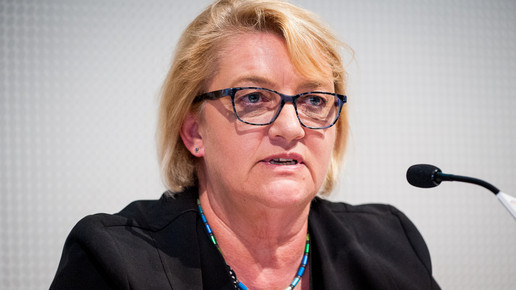 hsk debatte schulz-asche domma