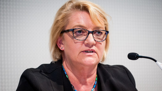 hsk debatte schulz-asche domma