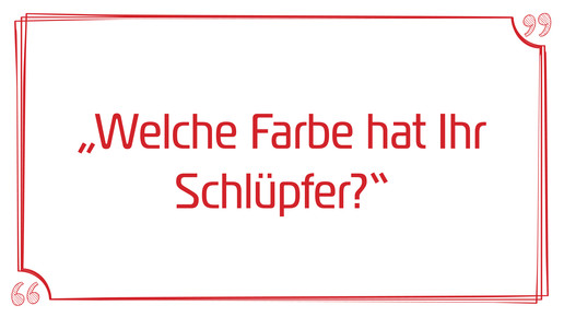 sonstige fragen schluepfer aa