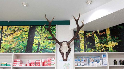 innen 5 Hirsch-Apotheke