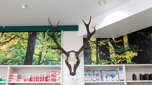 innen 5 Hirsch-Apotheke