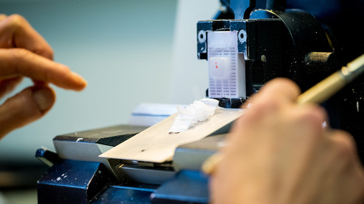 labor charite16 andreas domma