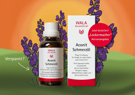 Abbildung von WALA Aconit Schmerzöl in brauner Glasflasche neben weißer Faltschachtel vor orange-grünem Hintergrund mit gezeichneten violetten Eisenhut-Blüten. Roter Kreis mit der Aufschrift: „Jetzt bestellen! Lockermacher-Aktionsangebot“.