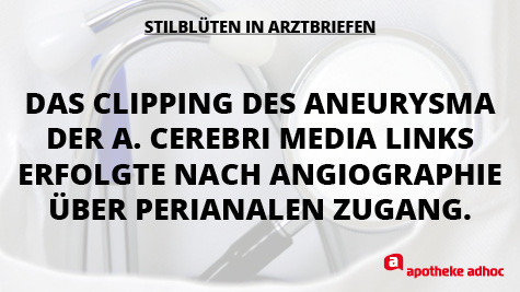 Stilblueten-Arztbriefen6