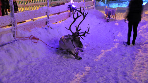 finnland rentier 02 aa