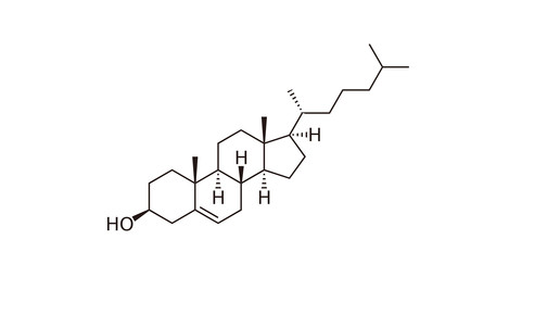 cholesterin wiki boristm