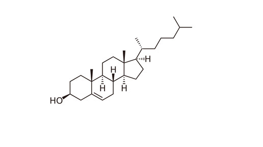 cholesterin wiki boristm