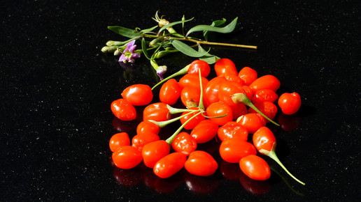 gojibeere bocksdorn Ute Mulder pixeliode