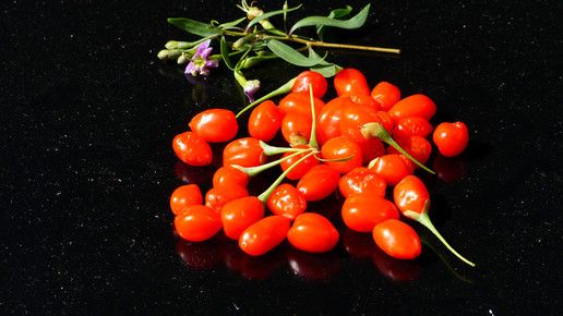 Blutverdünner: Vorsicht bei Goji-Beeren