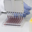 pipettieren-im-pharmalabor vfa martin joppen Großes Potenzial für neue Blockbuster
