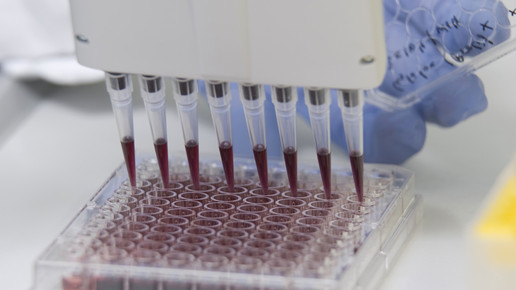 Großes Potenzial für neue Blockbuster