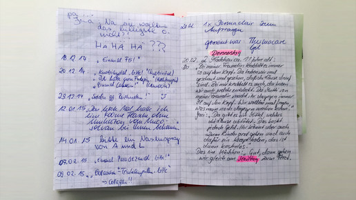 brigadebuch 08 lindaapoidnordvorstadt