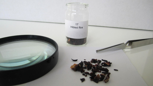 Hibisci flos 2 aa